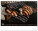 Nástěnný kalendář Summer Paradise 2027, 48 x 33 cm - pgn-36384-l_11 - variant Pg PGN-36384-L
