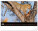 NOTIQUE Nástěnný kalendář Živá Afrika 2027, 48 x 33 cm - pgn-36381-l_05 - variant Pg PGN-36381-L