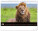 NOTIQUE Nástěnný kalendář Živá Afrika 2027, 48 x 33 cm - pgn-36381-l_08 - variant Pg PGN-36381-L