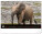 NOTIQUE Nástěnný kalendář Živá Afrika 2027, 48 x 33 cm - pgn-36381-l_10 - variant Pg PGN-36381-L