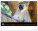 NOTIQUE Nástěnný kalendář Živá Afrika 2027, 48 x 33 cm - pgn-36381-l_12 - variant Pg PGN-36381-L