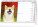 NOTIQUE Stolní kalendář Psi – Psi CZ/SK 2027, 23,1 x 14,5 cm - pgs-36874_kal - variant Pg PGS-36874