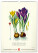 NOTIQUE Nástěnný kalendář Vintage plakáty – herbář 2027, 33 x 46 cm - pgn-36362_03 - variant Pg PGN-36362