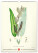 NOTIQUE Nástěnný kalendář Vintage plakáty – herbář 2027, 33 x 46 cm - pgn-36362_04 - variant Pg PGN-36362