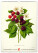 NOTIQUE Nástěnný kalendář Vintage plakáty – herbář 2027, 33 x 46 cm - pgn-36362_07 - variant Pg PGN-36362