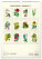 NOTIQUE Nástěnný kalendář Vintage plakáty – herbář 2027, 33 x 46 cm - pgn-36362_zad - variant Pg PGN-36362