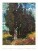 Nástěnný kalendář Impressionists 2027 - Impressionists_VN_420x560_20277 - variant Sp N01-27