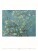 Nástěnný kalendář Vincent van Gogh 2027 - Vincent-van-Gogh_VN_420x560_20274 - variant Sp N03-27