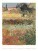 Nástěnný kalendář Vincent van Gogh 2027 - Vincent-van-Gogh_VN_420x560_20277 - variant Sp N03-27