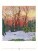 Nástěnný kalendář Gardens Impressionism 2027 - Gardens-Impressionism_VN_420x560_202712 - variant Sp N08-27