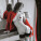 Nástěnný kalendář Girls čtverec 2027 - Girls_VN_330x330_20276 - variant Sp N14-27