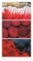 Nástěnný kalendář Colours 2027 - Colours_VN_330x600_20279 - variant Sp N16-27