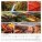 Nástěnný kalendář Colours of nature 2027 - Colours-of-Nature_330x330_VN-202710 - variant Sp N17-27