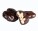 DRAGEE PECAN – pekanové ořechy v hořké a mléčné čokoládě - s055019-2 - variant 