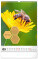 NOTIQUE Nástěnný kalendář Včelařský – Včelařský CZ/SK 2027, 33 x 46 cm - pgn-36858-l_03 - variant Pg PGN-36858-L