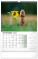 NOTIQUE Nástěnný kalendář Lovecký 2027, 33 x 46 cm - pgn-36861-sk-l_09 - variant Pg PGN-36861-SK-L