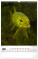 NOTIQUE Wall calendar Fishing – Fishing CZ/SK 2027, 33 x 46 cm - pgn-36862-l_09 - variant Pg PGN-36862-L