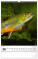 NOTIQUE Wall calendar Fishing – Fishing CZ/SK 2027, 33 x 46 cm - pgn-36862-l_10 - variant Pg PGN-36862-L