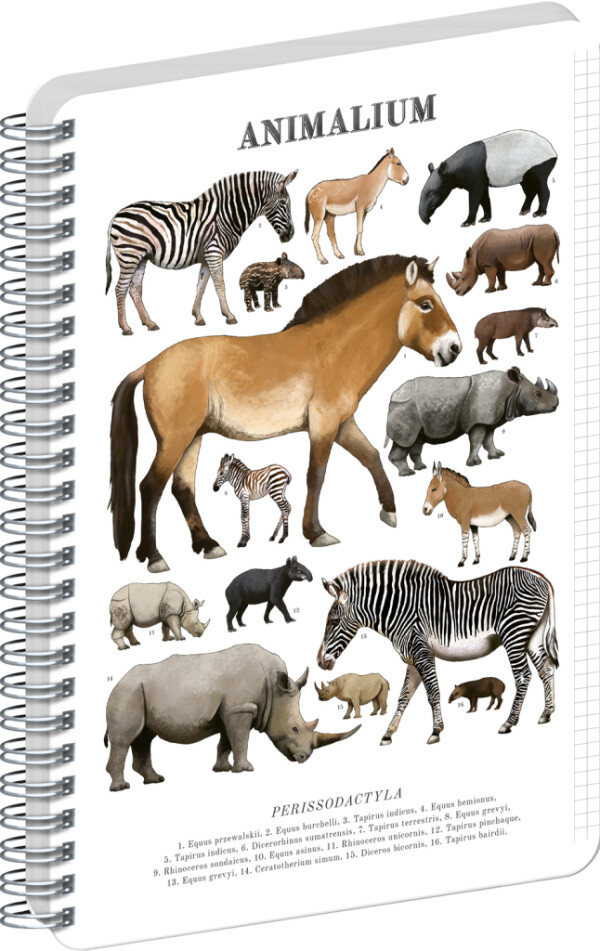 NOTIQUE Spirálový blok Animalium – Lichokopytníky, čtverečkovaný, A4