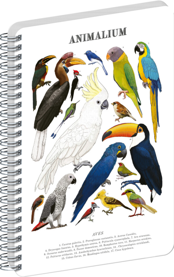 NOTIQUE Spirálový blok Animalium – Ptáci, čistý, A5