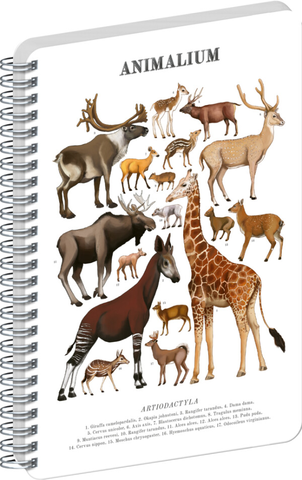 NOTIQUE Spirálový blok Animalium – Párnokopytníky, čistý, A4