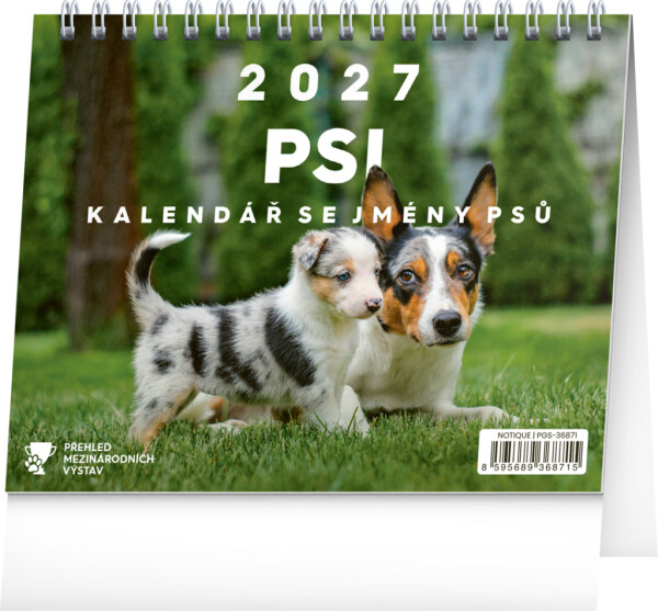 NOTIQUE Stolní kalendář Psi – se jmény psů CZ 2027, 16,5 x 13 cm