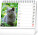 NOTIQUE Stolní kalendář Kočky – se jmény koček 2027, 16,5 x 13 cm - pgs-36876-sk_kal - variant Pg PGS-36876-SK