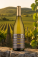 Bílé víno – Martin Pomfy, Riesling 2024 Jasová - s062070-2 - variant 
