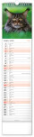 NOTIQUE Nástěnný kalendář Kočky CZ/SK 2027, 12 x 48 cm - pgn-36844-l_04 - variant Pg PGN-36844-L
