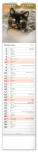NOTIQUE Nástěnný kalendář Kočky CZ/SK 2027, 12 x 48 cm - pgn-36844-l_06 - variant Pg PGN-36844-L