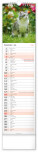 NOTIQUE Nástěnný kalendář Kočky CZ/SK 2027, 12 x 48 cm - pgn-36844-l_07 - variant Pg PGN-36844-L