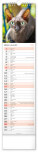 NOTIQUE Nástěnný kalendář Kočky CZ/SK 2027, 12 x 48 cm - pgn-36844-l_08 - variant Pg PGN-36844-L