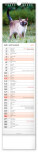 NOTIQUE Nástěnný kalendář Kočky CZ/SK 2027, 12 x 48 cm - pgn-36844-l_09 - variant Pg PGN-36844-L