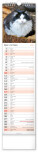 NOTIQUE Nástěnný kalendář Kočky CZ/SK 2027, 12 x 48 cm - pgn-36844-l_10 - variant Pg PGN-36844-L