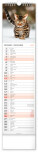 NOTIQUE Nástěnný kalendář Kočky CZ/SK 2027, 12 x 48 cm - pgn-36844-l_12 - variant Pg PGN-36844-L