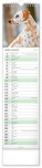 NOTIQUE Nástenný kalendár Psy CZ/SK 2027, 12 x 48 cm - pgn-36845-l_01 - variant Pg PGN-36845-L