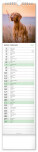 NOTIQUE Nástenný kalendár Psy CZ/SK 2027, 12 x 48 cm - pgn-36845-l_02 - variant Pg PGN-36845-L