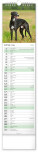NOTIQUE Nástenný kalendár Psy CZ/SK 2027, 12 x 48 cm - pgn-36845-l_05 - variant Pg PGN-36845-L