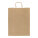 Papbag L papírová dárková taška, velká - ap719608-00-a - variant 
