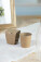 MerryGrow sada pro pěstování vánočního stromku - ap757019-dg - variant 
