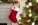 Dog Christmas Stocking - Booty Shape - pp012 - variant 