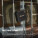 Marshall Willen II 17H+ – přenosný reproduktor - rb1006714-m-402-f0d76454913644589ff52088f51ac9f6 - variant 