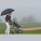 Golf deštník - 4345203_lifestyle_2 - variant M 4345203
