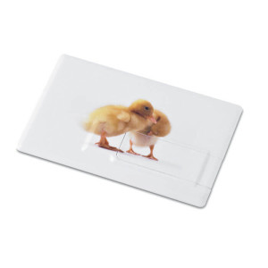 MEMORAMA USB paměťová karta
