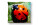 Polštář 40 × 40 cm z mikrovlákna (sublimační potisk 2 strany) - frontend-item-51-img-16636794039951 - variant 