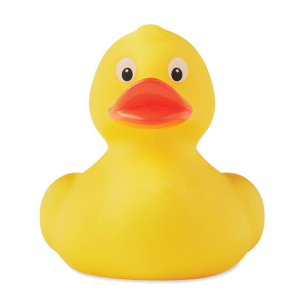 DUCK kachna