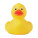 DUCK kachna - MO9279_08 - variant Mo MO9279-08