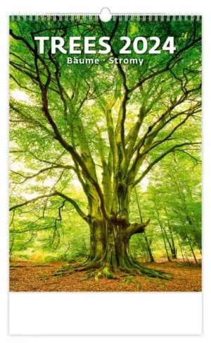 Nástěnný kalendář Stromy - Reklamnepredmety