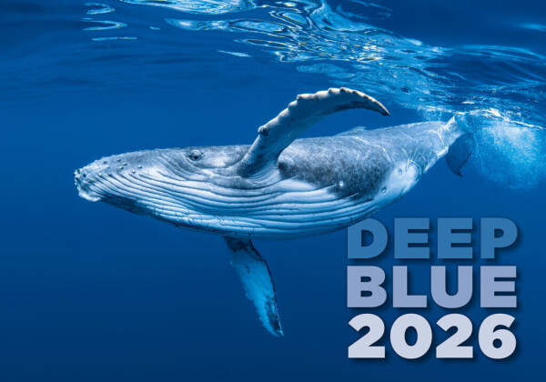 Kalendář Deep Blue