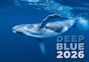 Kalendář Deep Blue - Reklamnepredmety